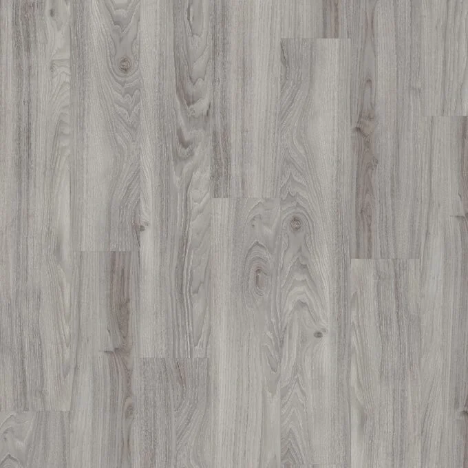 Grey Mountain Ash